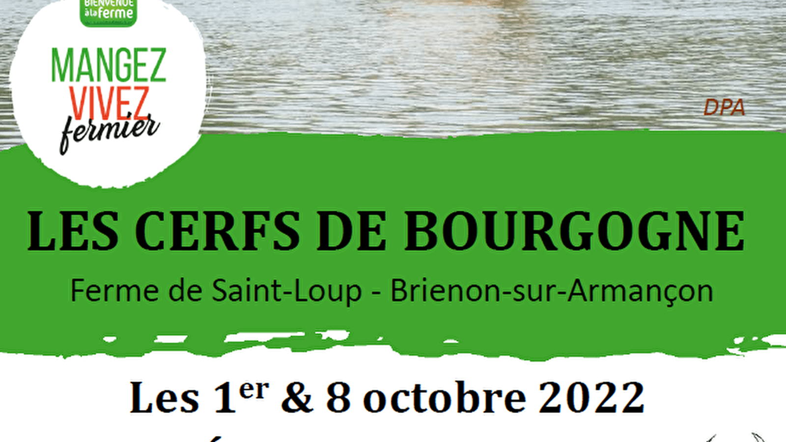 Soirée Brame du Cerf