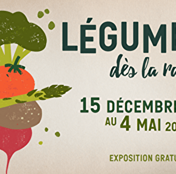 Pour tout savoir sur les légumes en s'amusant - AUXERRE