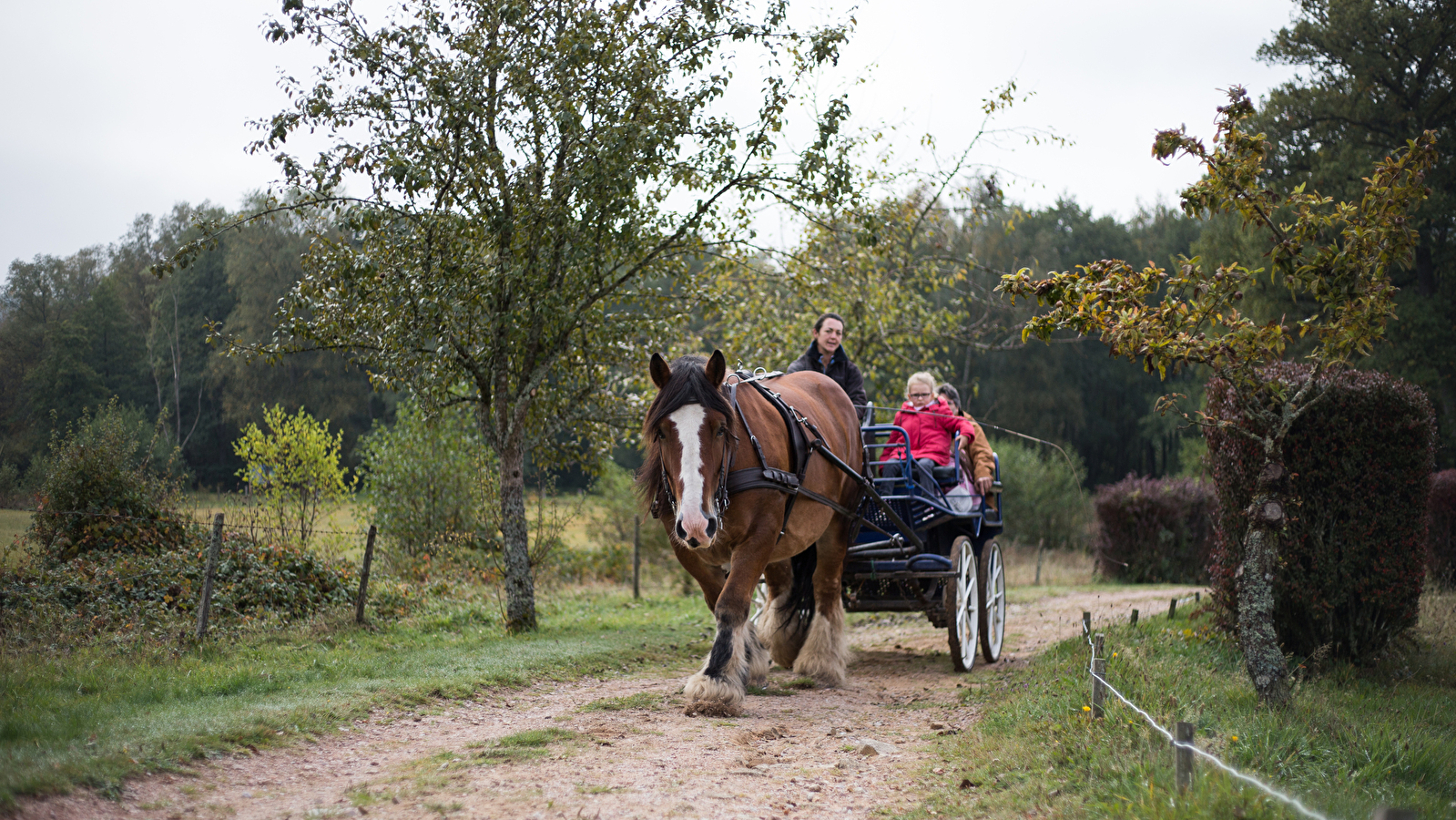 Les circuits attelage du Morvan