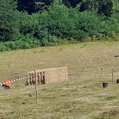 Ball-trap