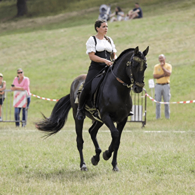 Fête du Cheval