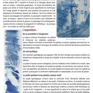 Nocturnes - Cyanotypes -Joanna Letchimy