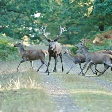 Parc naturel de Boutissaint