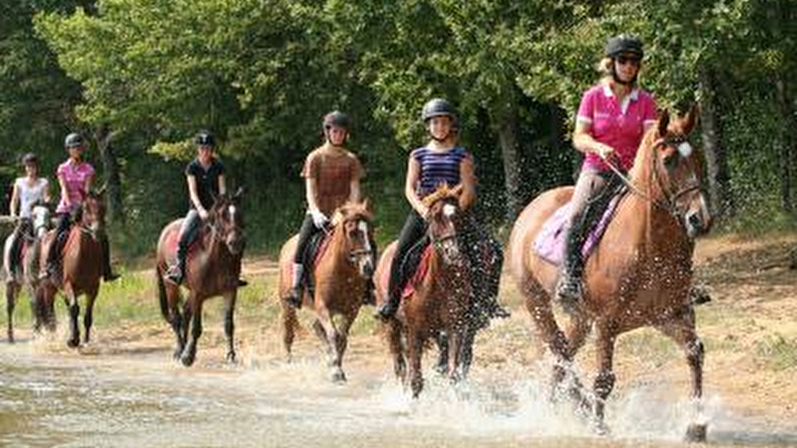 Ferme Equestre Les Grilles