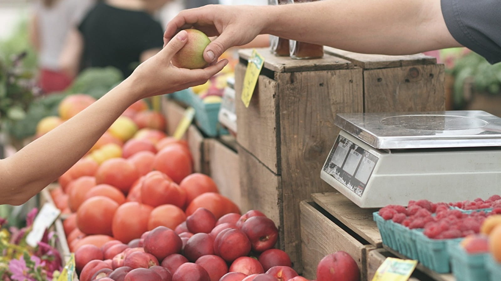Marché des près de Puisaye