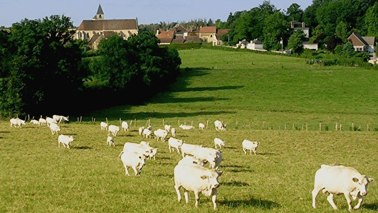 Les Cageots Poyaudins - AMAPP