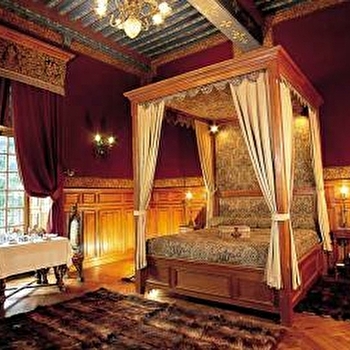 Château de Vault-de-Lugny - VAULT-DE-LUGNY