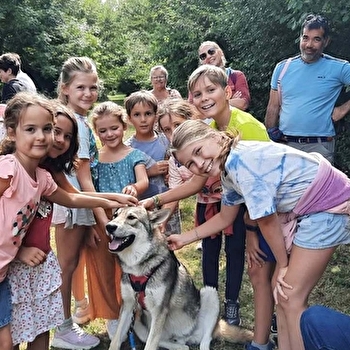 Randonnées avec les chiens-loups - TOUCY
