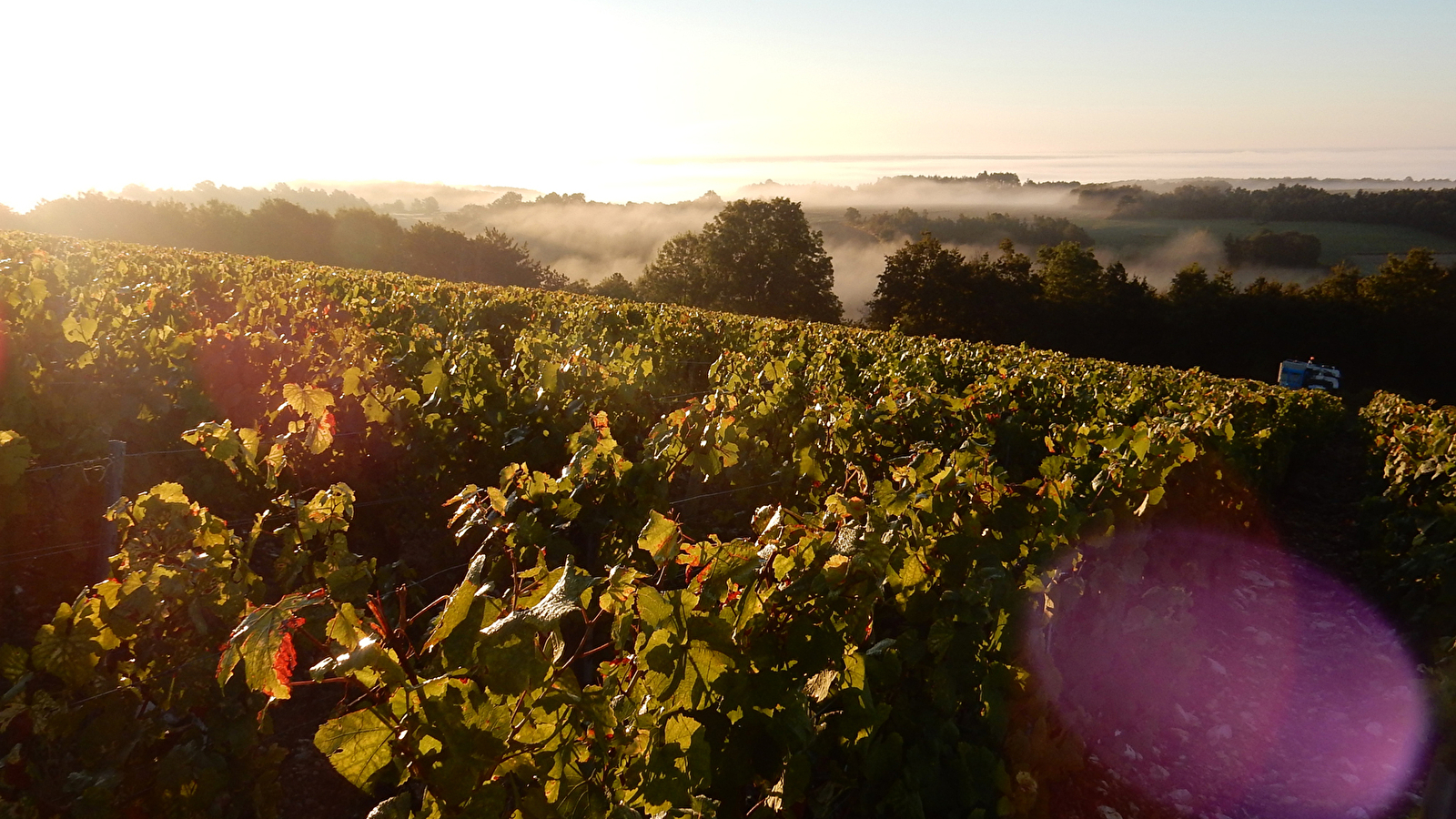 Domaine de Vauroux