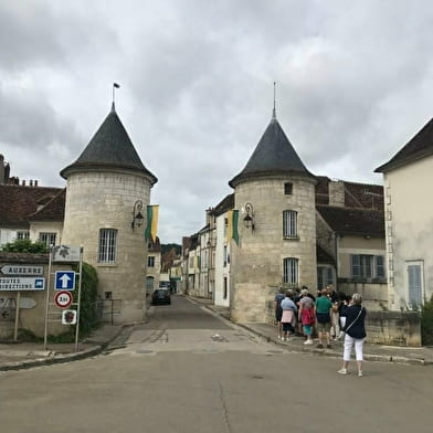 Chablis de la Pierre au Vin - Visite et dégustation