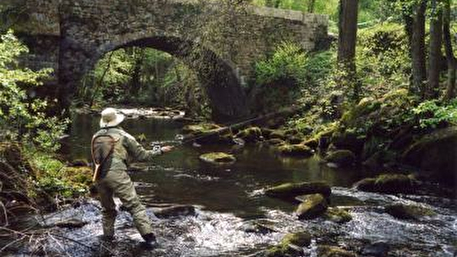 Fédération de l'Yonne pour la Pêche et la Protection du Milieu Aquatique