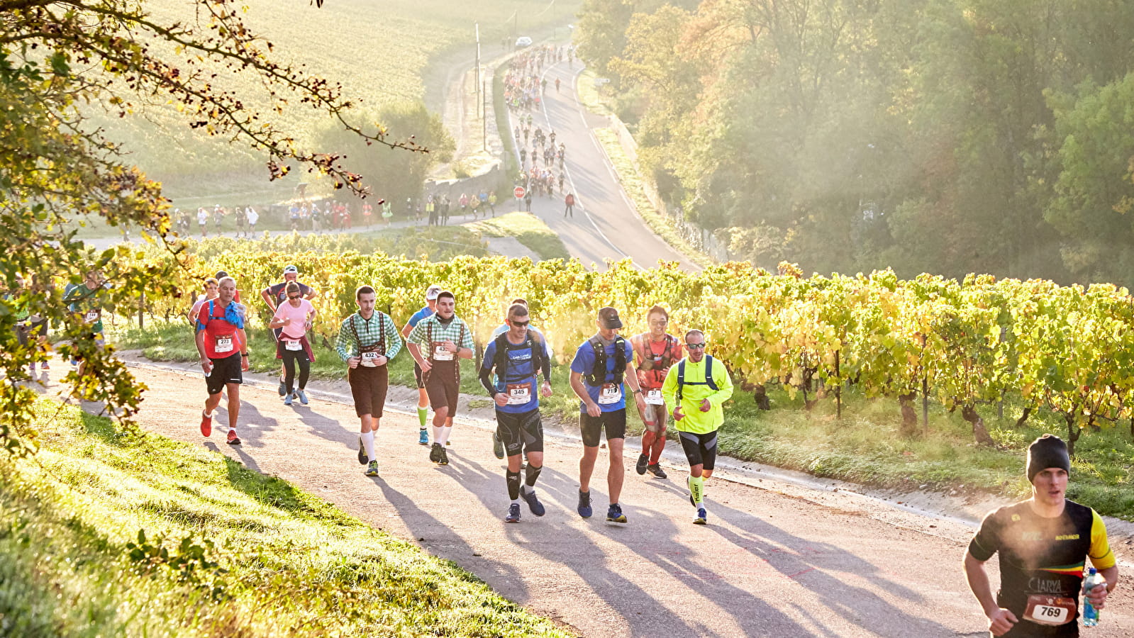 Marathon de Chablis 2023