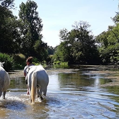Ferme équestre de l'Equi'Libre 