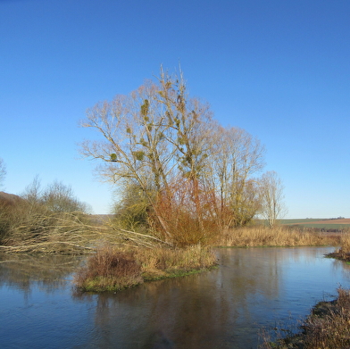 Marais de la vallée de la Druyes