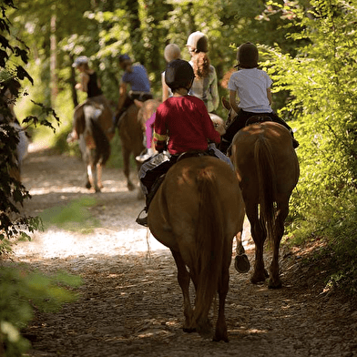 Randonnée équestre dans le Vézelien