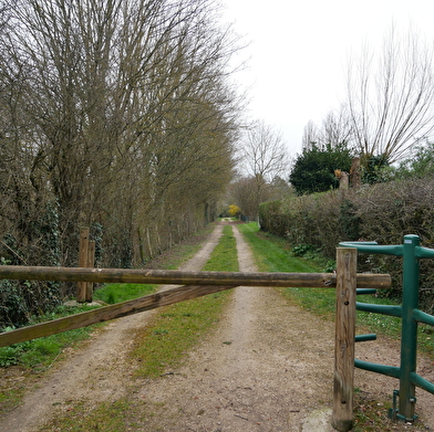 Que dirais-tu de découvrir un village de l’Yonne et ses environs tout en t’amusant ?