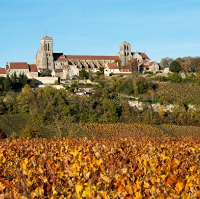 Martin Barbieux - Le Cellier de l'abbaye