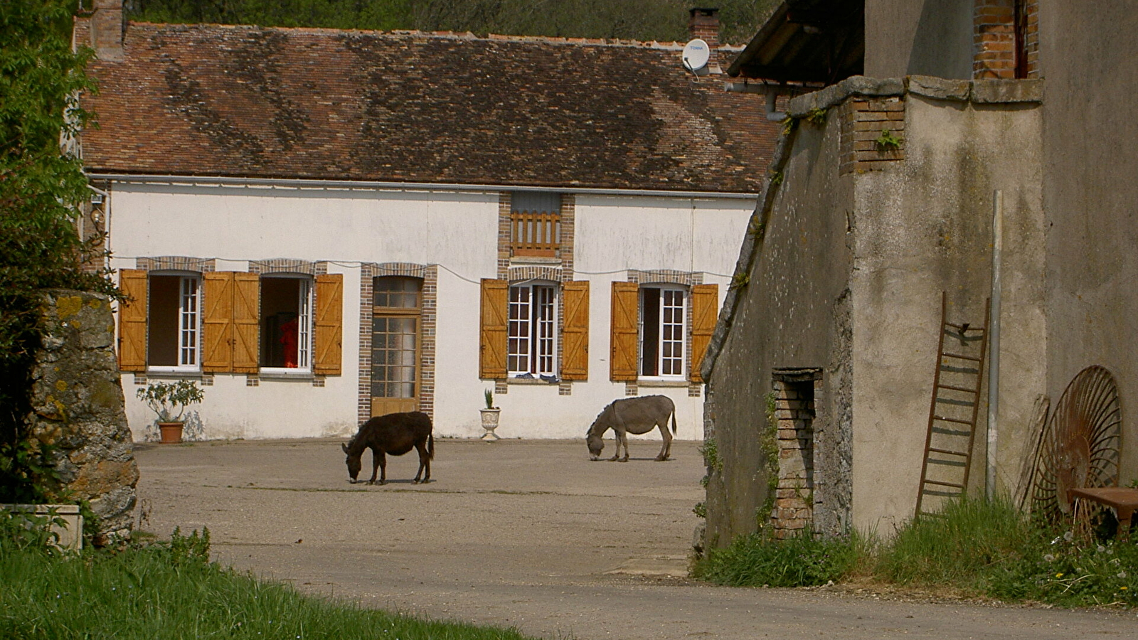 Chambre d'hôtes des Robineaux