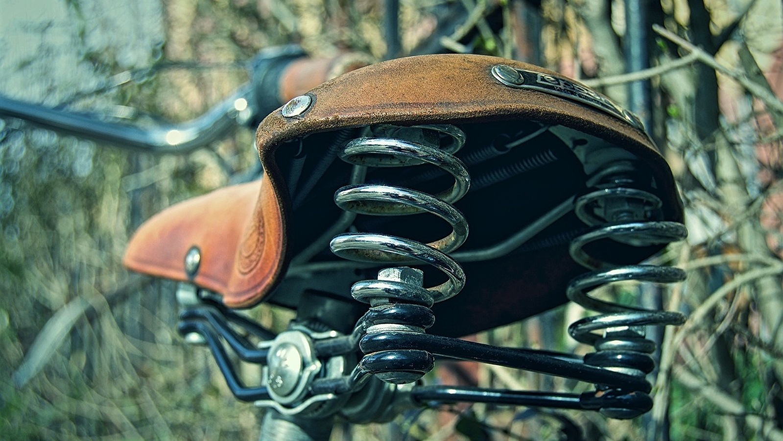 Concours de vélos fleuris