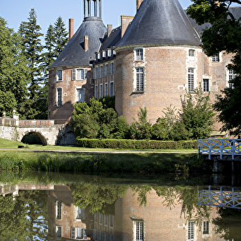 Château de Saint-Fargeau - SAINT-FARGEAU