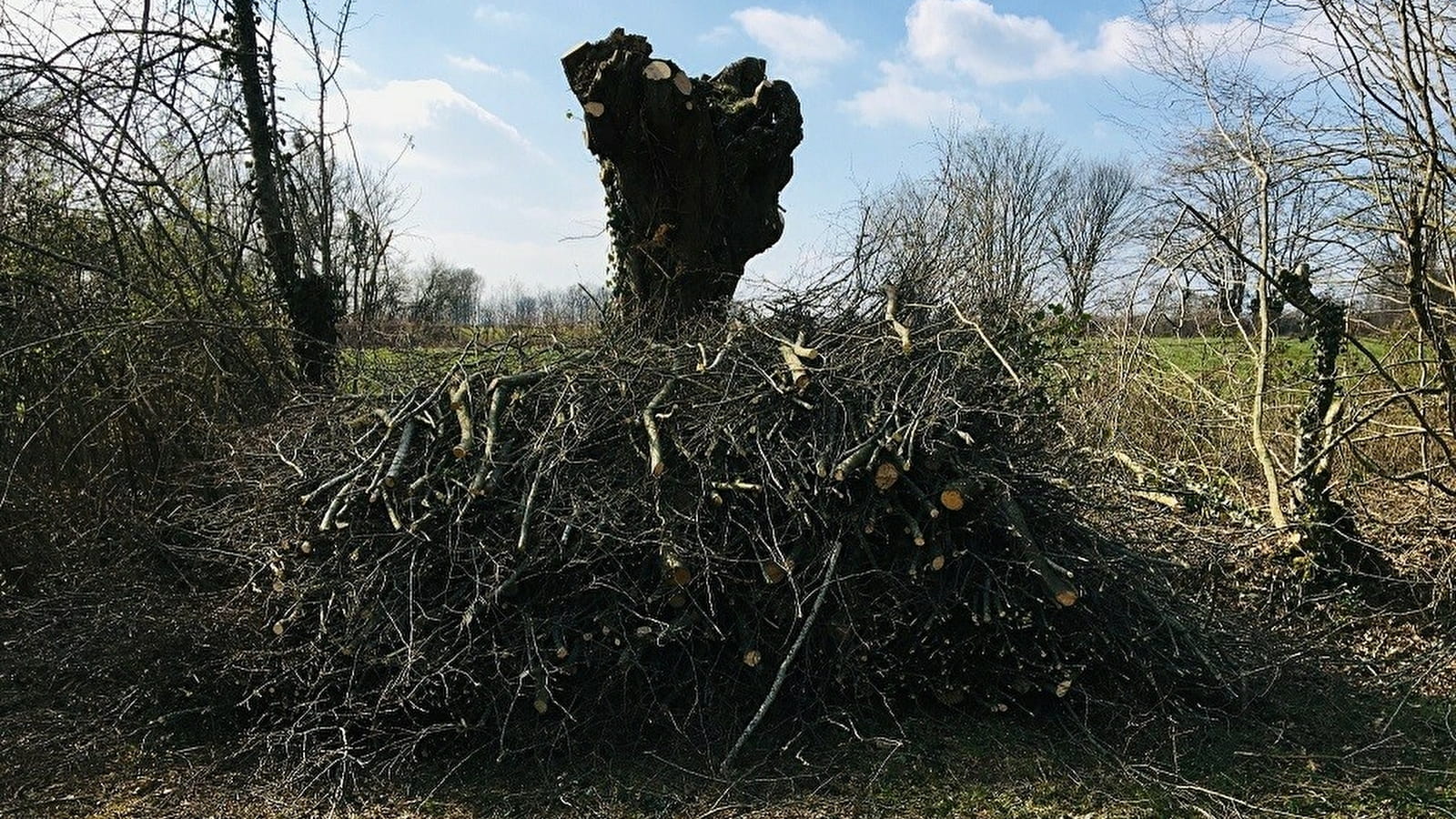 Chantier Trognes et Plesse Archéologie expérimentale !