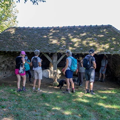Convergence 2025 - Marche familiale