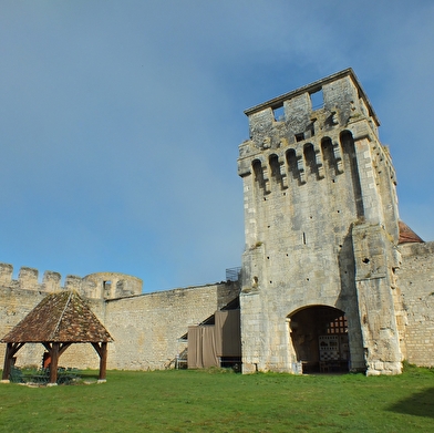 Le temps d'une visite, remonte le temps et imagine-toi à l'époque des chevaliers !