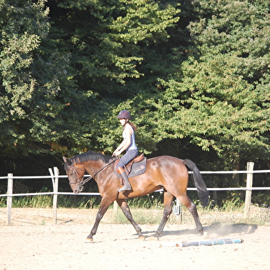 Poney-Club et Centre Équestre de Toucy