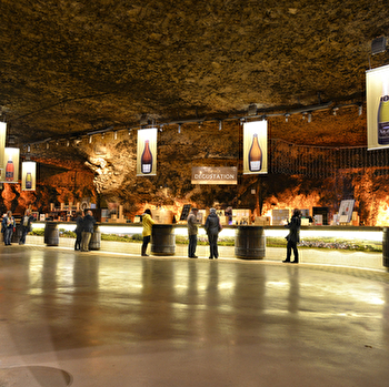 Caves Bailly-Lapierre - SAINT-BRIS-LE-VINEUX