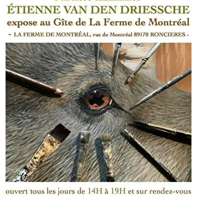 L'artiste animalier Etienne Van Den Driessche