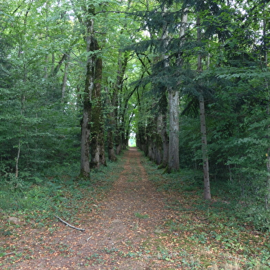 Parc du Château de Chastellux