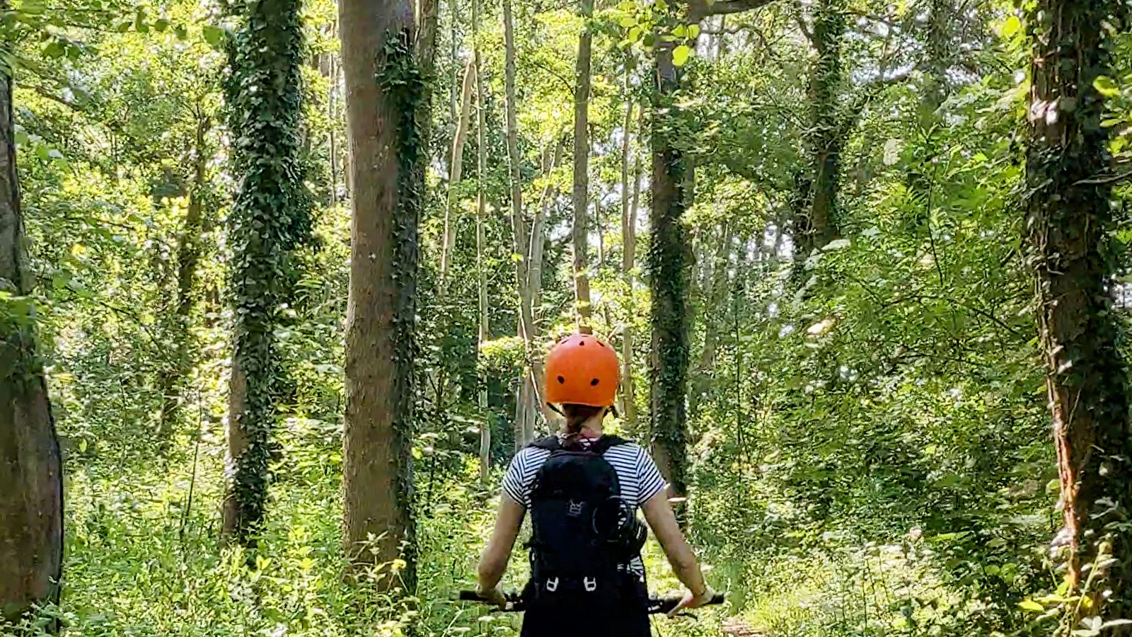 Saint-Georges-sur-Baulche - Evasion en forêt à E-Trott