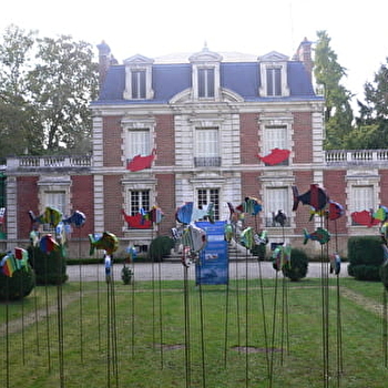 Découvre des animaux aux têtes rigolotes - AUXERRE