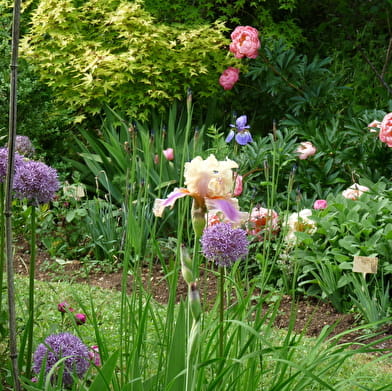 Tous au jardin