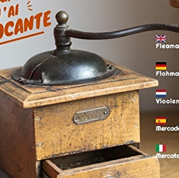 VIDE-GRENIER - CHAMPLAY (89) - CHAMPLAY