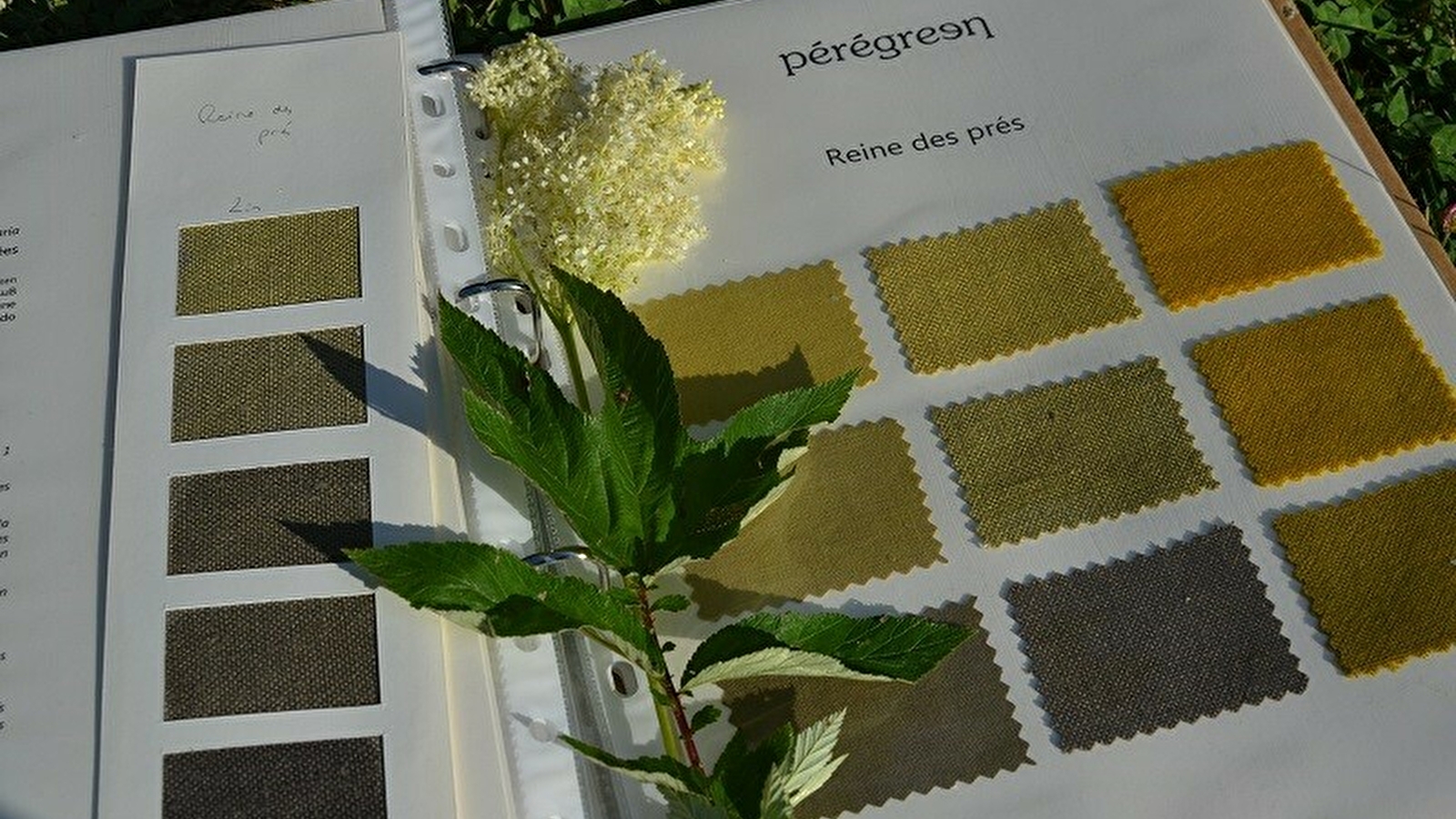 Découvrir un savoir faire : la couleur
