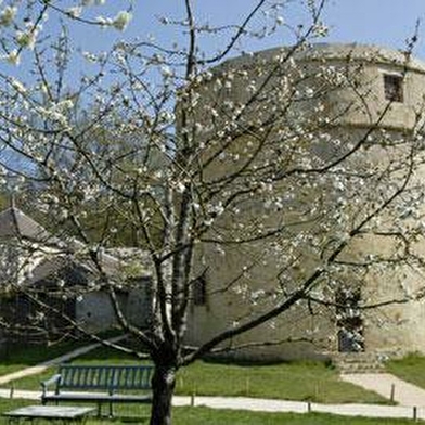 Château de Vallery