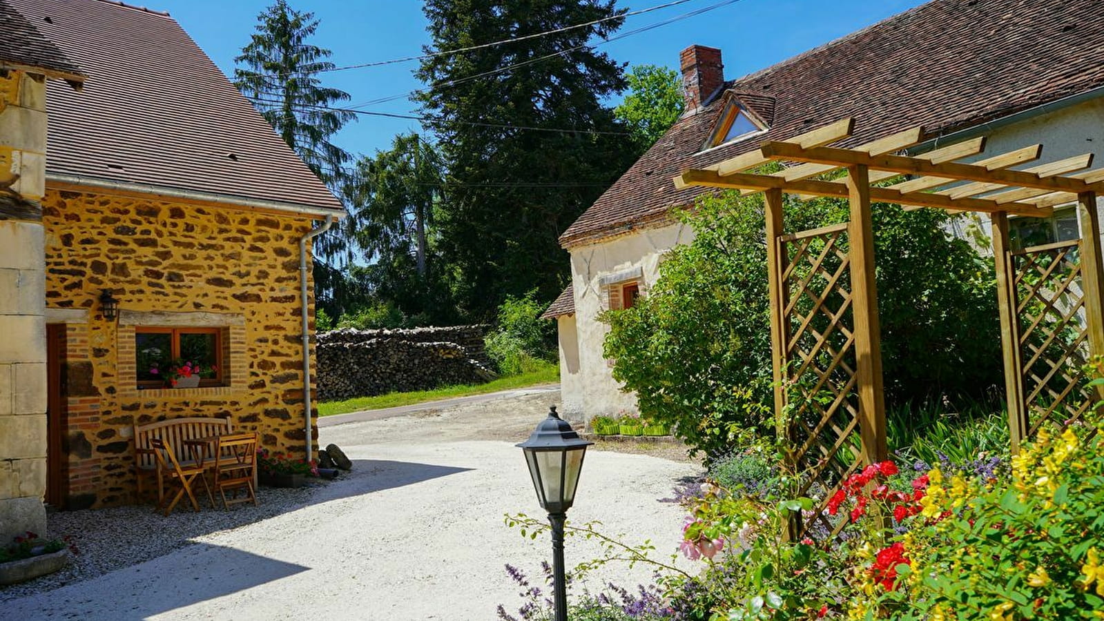 La Mésange bleue