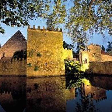 Château de Vault-de-Lugny