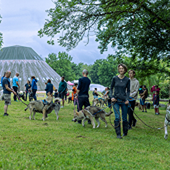 Journées des chiens-loups - TOUCY