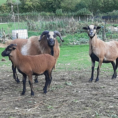 Le Petit Refuge Bourguignon