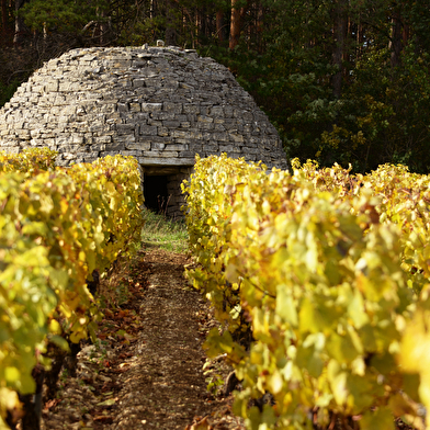 Domaine de Vauroux