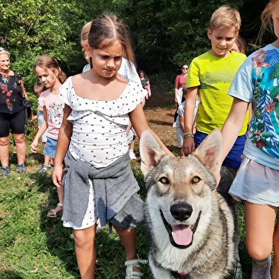 Une expérience inédite aux côtés des chiens-loups de la Pyramide du Loup !