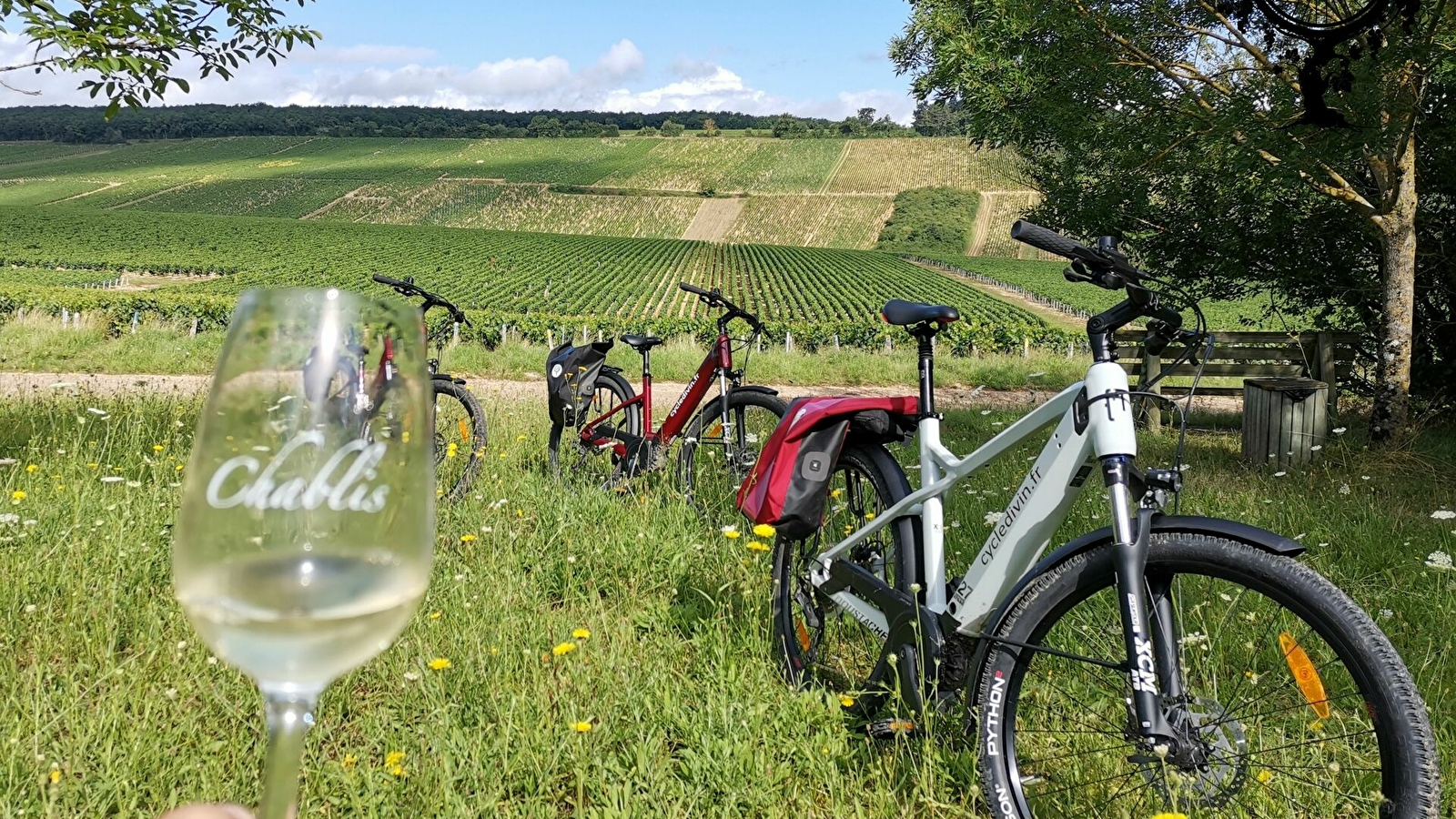 Cycle Divin