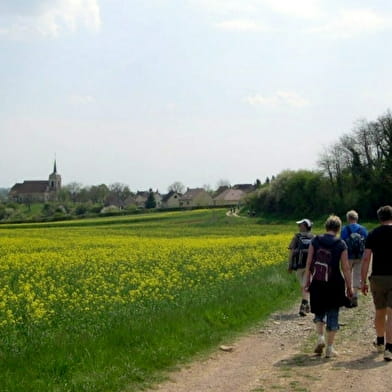 Marche Auxerre - Vézelay