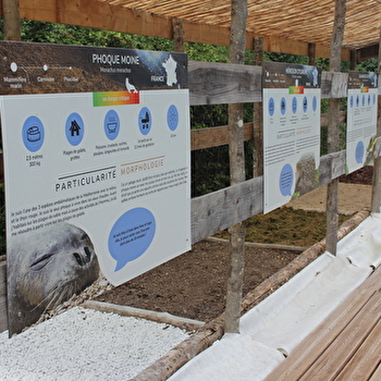 Un parcours sensoriel pour mettre tes sens en éveil - TOUCY