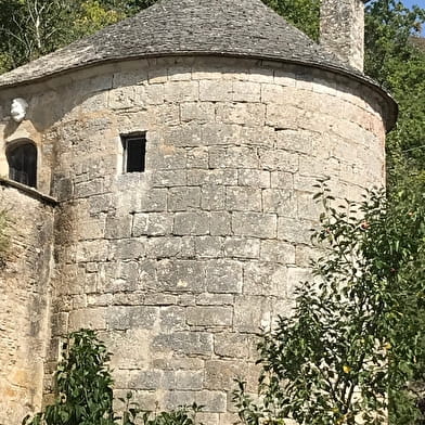 Les amis du vieux Noyers