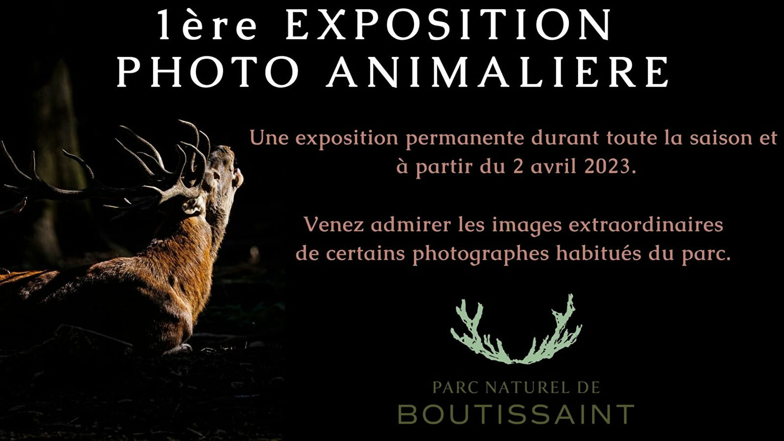 Exposition permanente de photographies animalières