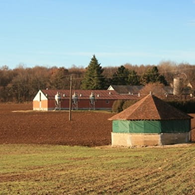 Promenade à Sainpuits dans les vallons de Forterre vers la voie romaine