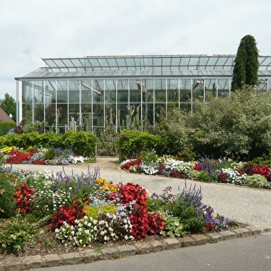 Dans une ambiance tropicale, pars à la découverte de plantes originales venues de pays lointains.